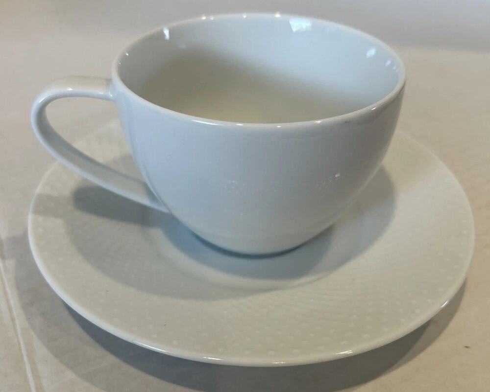 Crate & Barrel TAMIKO Cup & Saucer EUC